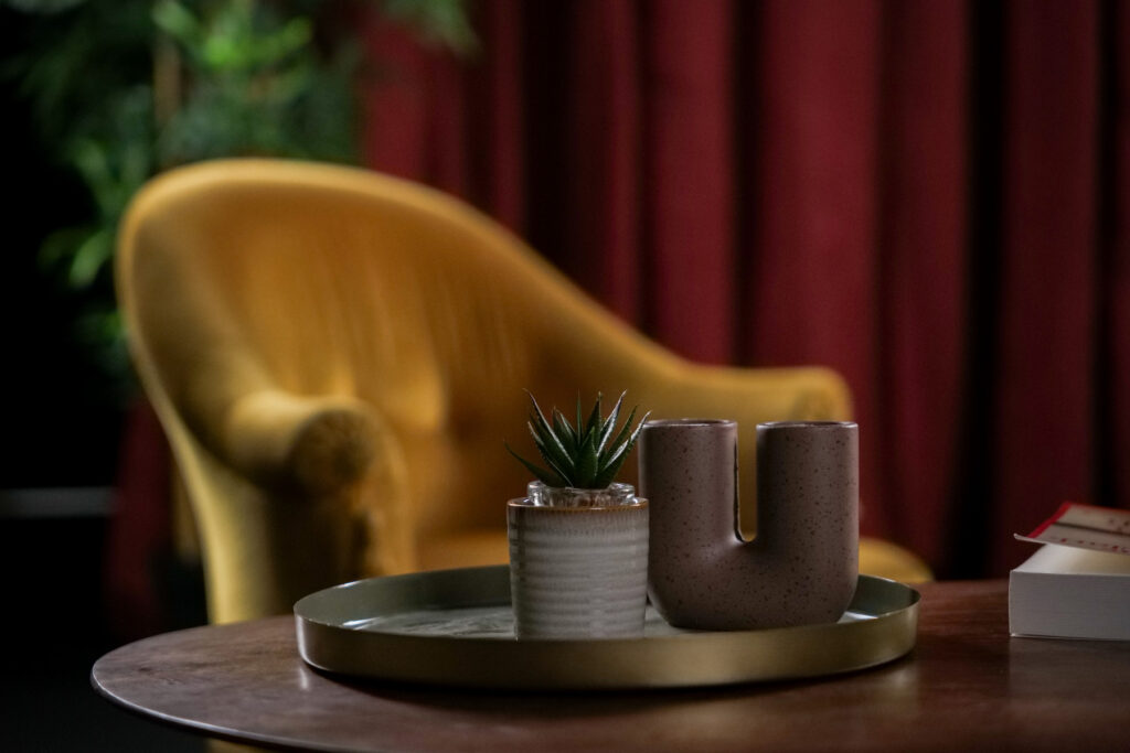 Gros plan sur une plante et une céramique décorative sur la table basse